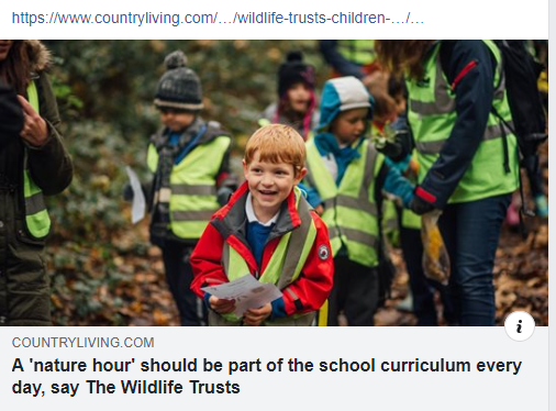 A Nature Hour Should Be Part Of The School Curriculum Every Day Say The Wildlife Trusts Pic