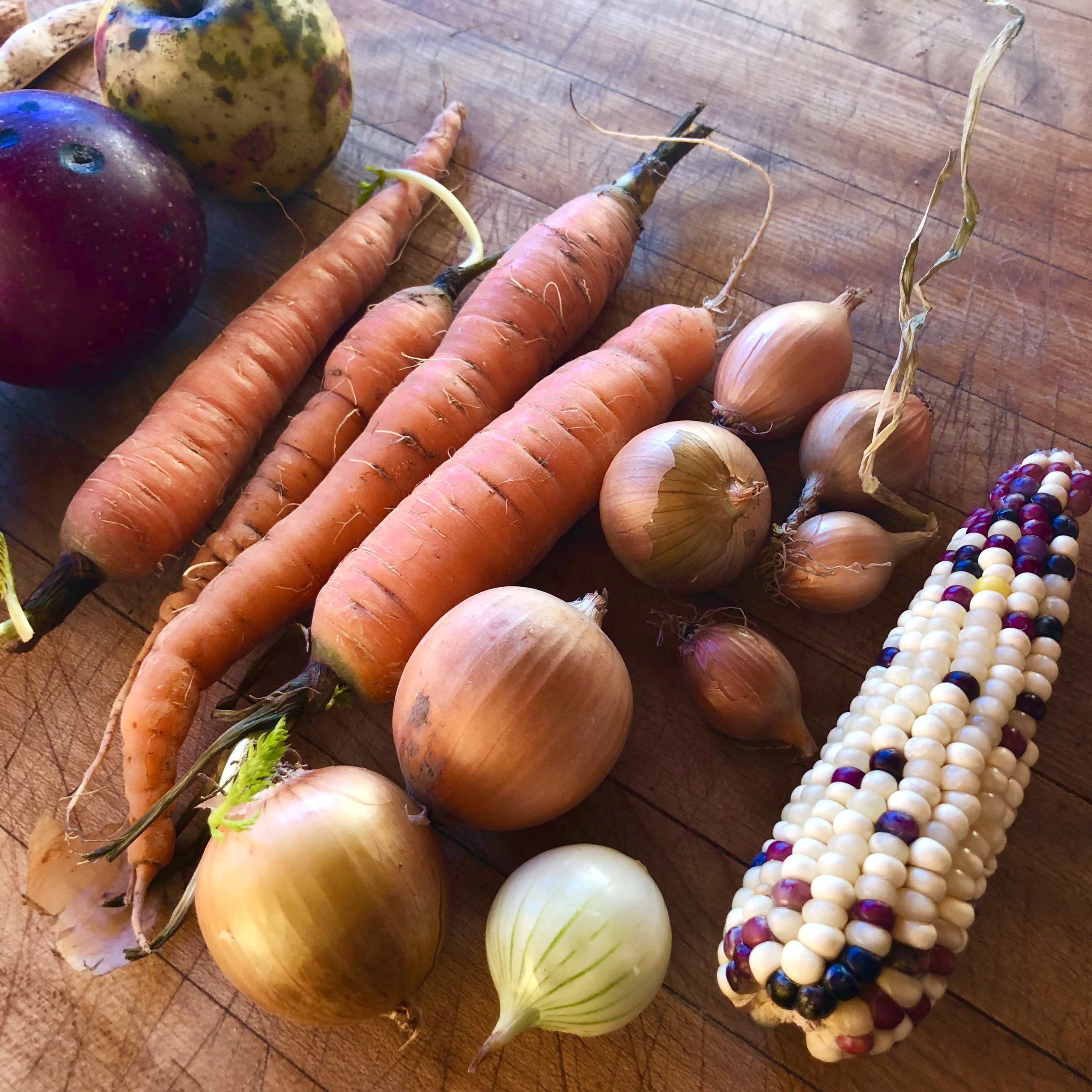 Photo Jan 14 4 18 24 PM