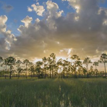 Big Cypress National Preserve