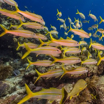 Biscayne National Park