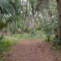 Ecological & Historical Preserve Timucuan